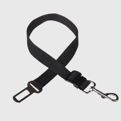 https://cdn.shopify.com/s/files/1/0763/9767/4819/files/Ceinture_chien_voiture.png?v=1729873006