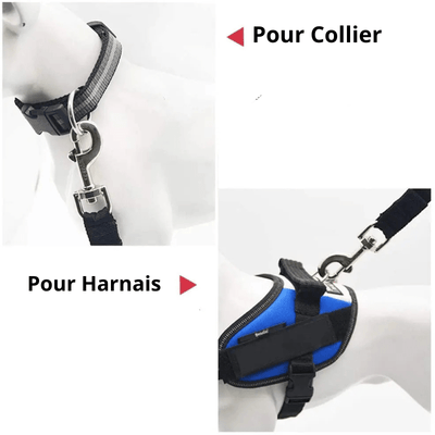 https://cdn.shopify.com/s/files/1/0763/9767/4819/files/Ceinture_chien_voiture_collier_harnais.png?v=1729873022