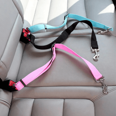 https://cdn.shopify.com/s/files/1/0763/9767/4819/files/Ceinture_chien_voiture_exemple.png?v=1729873054