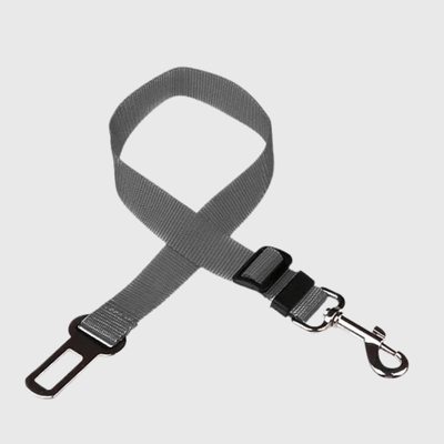 https://cdn.shopify.com/s/files/1/0763/9767/4819/files/Ceinture_chien_voiture_gris.png?v=1729873078