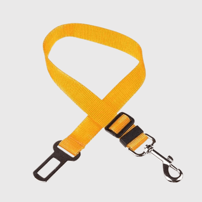 https://cdn.shopify.com/s/files/1/0763/9767/4819/files/Ceinture_chien_voiture_jaune.png?v=1729873100