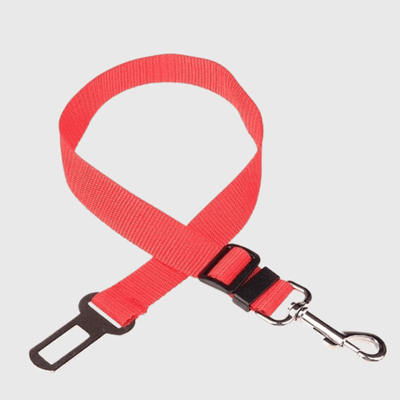 https://cdn.shopify.com/s/files/1/0763/9767/4819/files/Ceinture_chien_voiture_rouge.png?v=1729873129