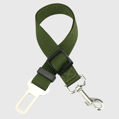https://cdn.shopify.com/s/files/1/0763/9767/4819/files/Ceinture_chien_voiture_vert_foncee.png?v=1729873198