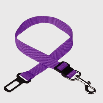 https://cdn.shopify.com/s/files/1/0763/9767/4819/files/Ceinture_chien_voiture_violet.png?v=1729873113