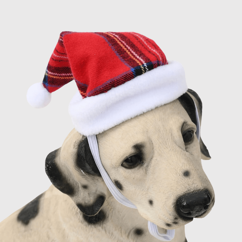 https://cdn.shopify.com/s/files/1/0763/9767/4819/files/Chapeau_de_noel_pour_chien_a_carreaux.png?v=1698082545