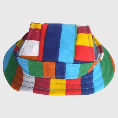 https://cdn.shopify.com/s/files/1/0763/9767/4819/files/Chapeau_pour_chien_multi_colore.png?v=1698081785