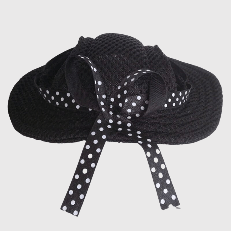 https://cdn.shopify.com/s/files/1/0763/9767/4819/files/Chapeau_pour_chien_noir.png?v=1698081785