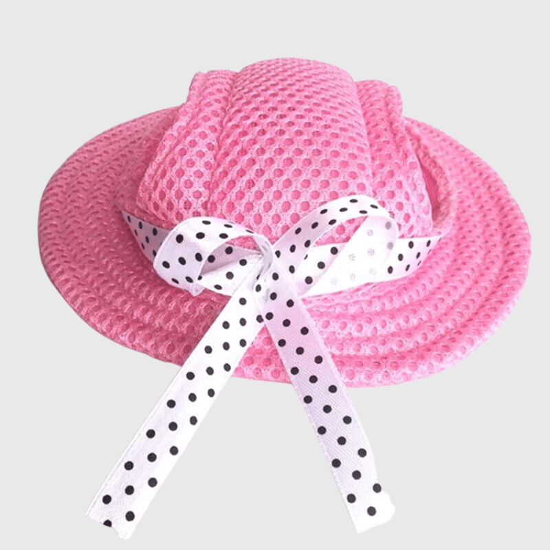 https://cdn.shopify.com/s/files/1/0763/9767/4819/files/Chapeau_pour_chien_noir.png?v=1698081785