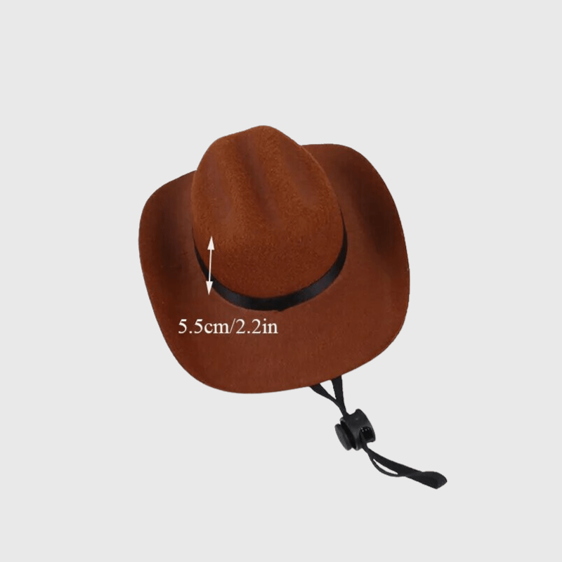 https://cdn.shopify.com/s/files/1/0763/9767/4819/files/Chapeaude_Cowboy_Marron.png?v=1698082122