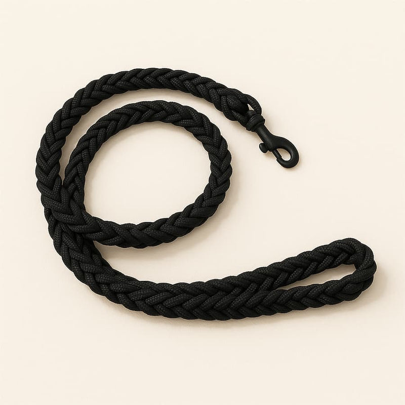 https://cdn.shopify.com/s/files/1/0923/9910/8483/files/Laisse_En_Corde_Pour_Chien_Diff_rents_Coloris.jpg?v=1750161405