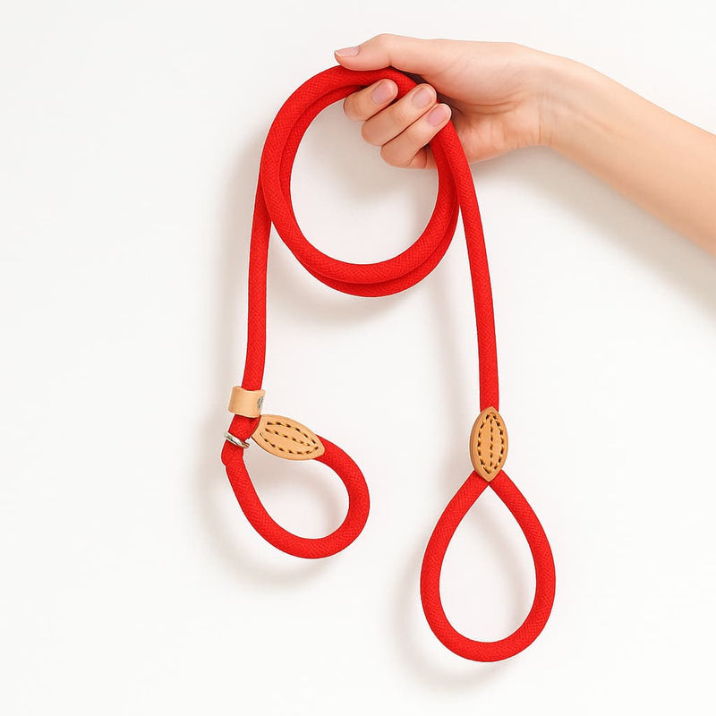 https://cdn.shopify.com/s/files/1/0923/9910/8483/files/Laisse_Lasso_Pour_Chien_Moyen.jpg?v=1747525259