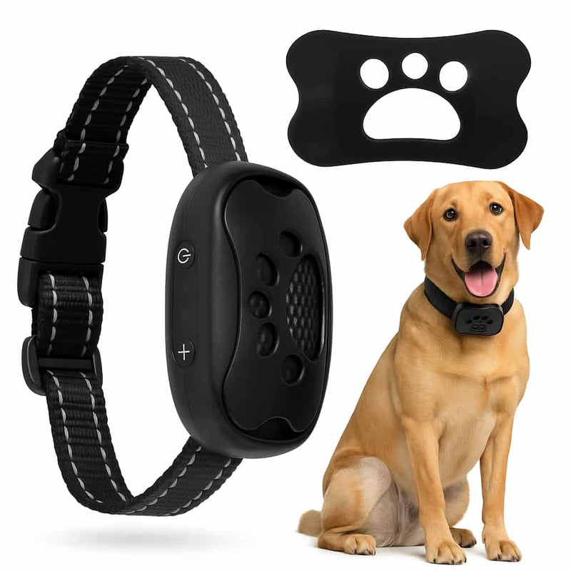 https://cdn.shopify.com/s/files/1/0923/9910/8483/files/Collier_Anti-Aboiement_Pour_Chien.jpg?v=1747531795