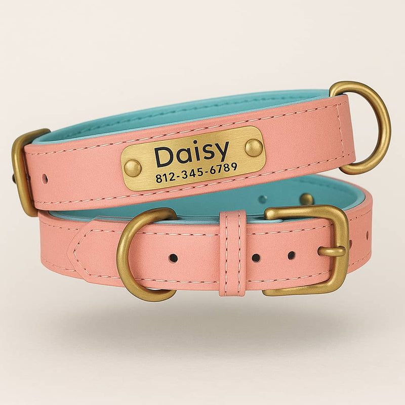 https://cdn.shopify.com/s/files/1/0923/9910/8483/files/Collier_Pour_Chien_En_Cuir_Personnalis.jpg?v=1748214075