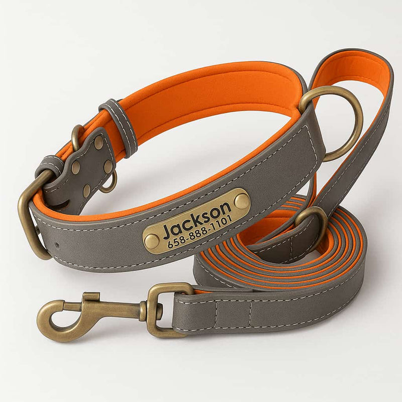 Set Collier Laisse Cuir Gros Chien