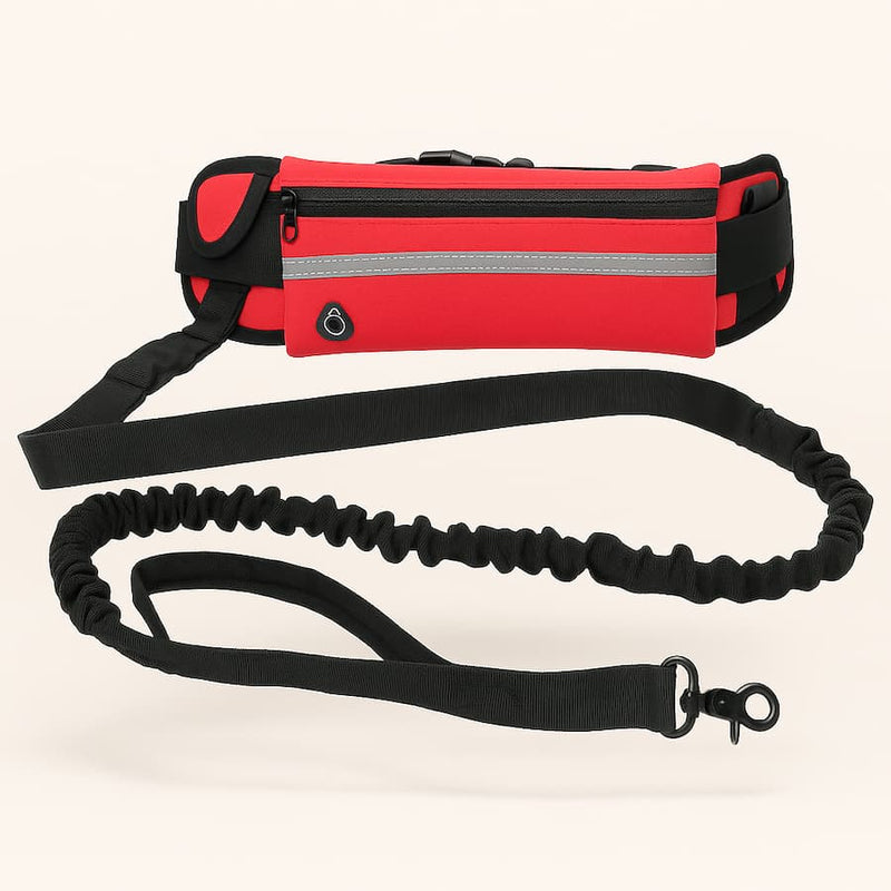 https://cdn.shopify.com/s/files/1/0923/9910/8483/files/Laisse_mains_libres_pour_chien_avec_poche.jpg?v=1750079791