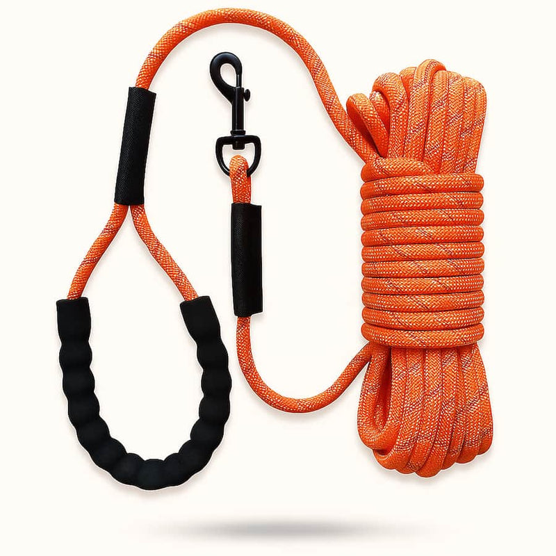 https://cdn.shopify.com/s/files/1/0923/9910/8483/files/Laisse_En_Corde_Pour_Chien_de_2M_20M.jpg?v=1750161382