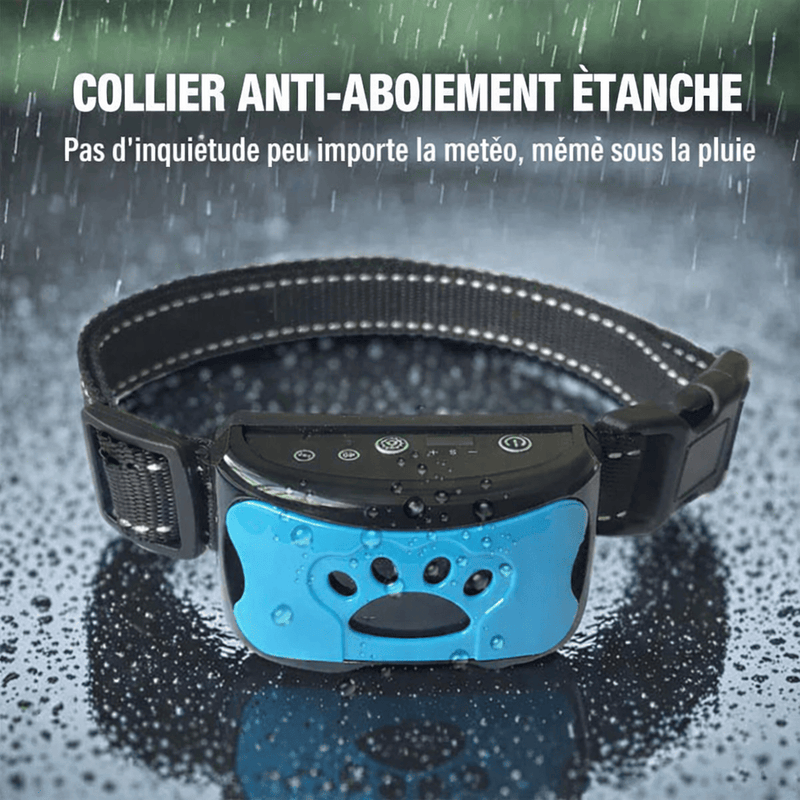 https://cdn.shopify.com/s/files/1/0489/2898/1148/files/ChatGPT_Image_18_janv._2026_12_17_32.png?v=1768736202