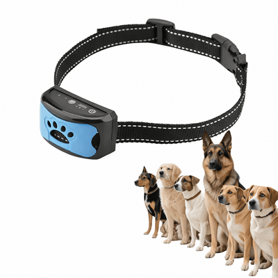 https://cdn.shopify.com/s/files/1/0489/2898/1148/files/ChatGPT_Image_18_janv._2026_12_20_54.png?v=1768736262