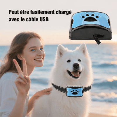 https://cdn.shopify.com/s/files/1/0489/2898/1148/files/ChatGPT_Image_18_janv._2026_12_23_12.png?v=1768736295