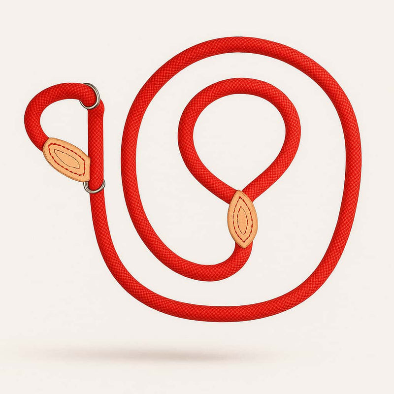 https://cdn.shopify.com/s/files/1/0923/9910/8483/files/Laisse_Lasso_Pour_Chiot.jpg?v=1747522310