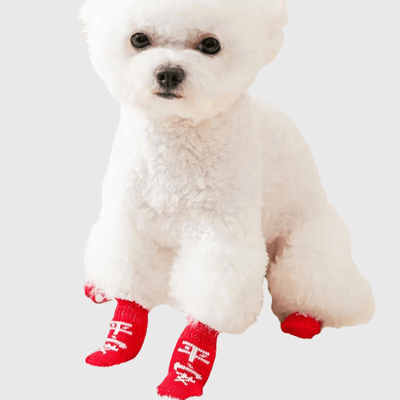 https://cdn.shopify.com/s/files/1/0763/9767/4819/files/Chaussette_Rouge_pour_chien_caniche.png?v=1756916833