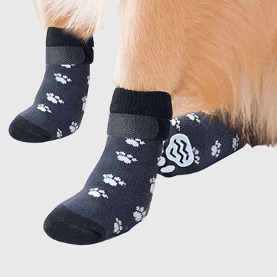 https://cdn.shopify.com/s/files/1/0763/9767/4819/files/Chaussettes_protection_pour_chien_petite_patte_de_chien.png?v=1756915948