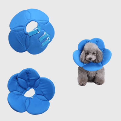 https://cdn.shopify.com/s/files/1/0763/9767/4819/files/Collerette_chien_en_forme_de_fleur_bleue.png?v=1699966826