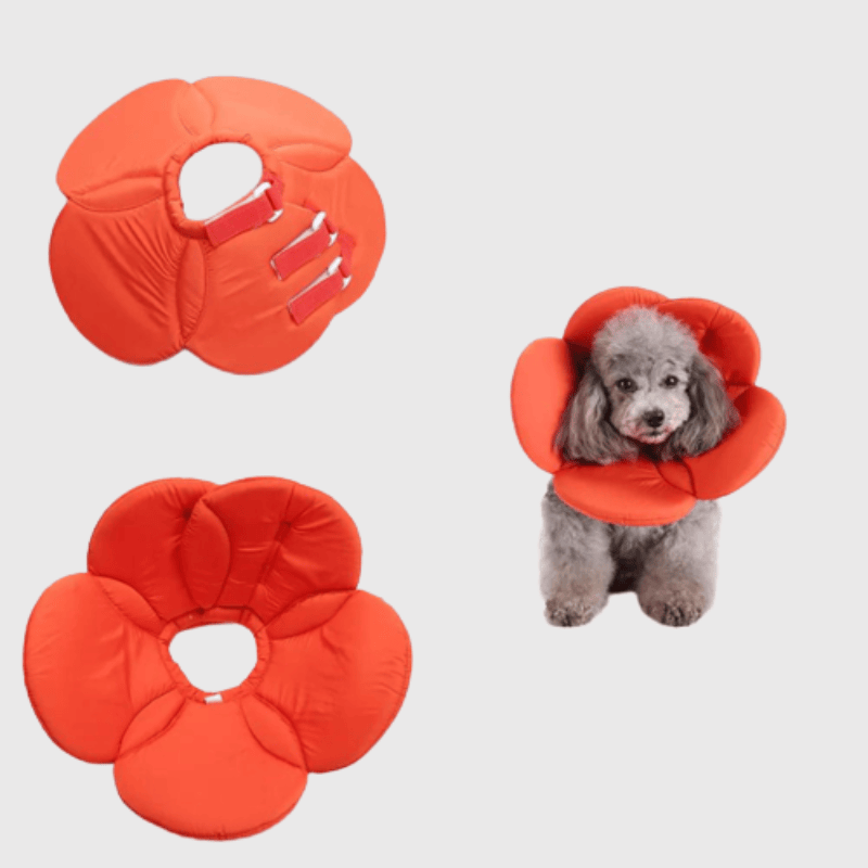 https://cdn.shopify.com/s/files/1/0763/9767/4819/files/Collerette_chien_en_forme_de_fleur_orange.png?v=1751380440