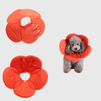 https://cdn.shopify.com/s/files/1/0763/9767/4819/files/Collerette_chien_en_forme_de_fleur_orange.png?v=1751380440