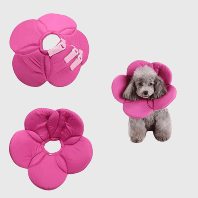 https://cdn.shopify.com/s/files/1/0763/9767/4819/files/Collerette_chien_en_forme_de_fleur_violette.png?v=1699966974