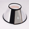 Collerette chien plastique - Gros-Chien.com