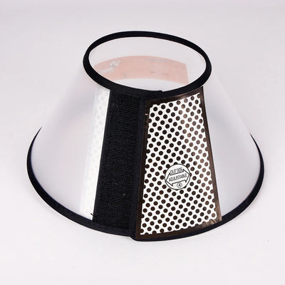 Collerette chien plastique - Gros-Chien.com