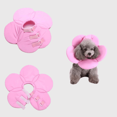 https://cdn.shopify.com/s/files/1/0763/9767/4819/files/Collerette_petit_chien.png?v=1749051191
