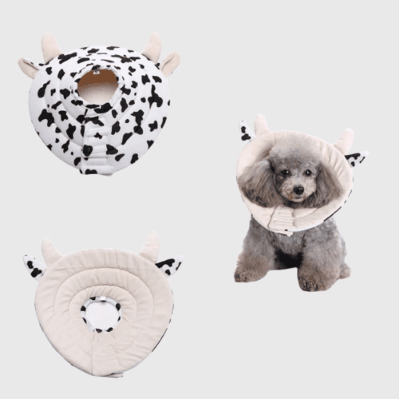 https://cdn.shopify.com/s/files/1/0763/9767/4819/files/Collerette_pour_chien_en_forme_de_vache_modele.png?v=1695995518