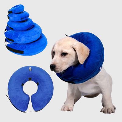 https://cdn.shopify.com/s/files/1/0763/9767/4819/files/Collerette_pour_chien_gonflable_modele.png?v=1748613712