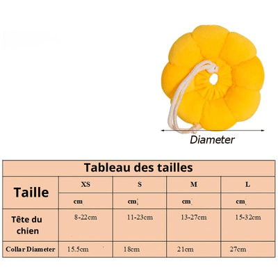 https://cdn.shopify.com/s/files/1/0763/9767/4819/files/Collerette_pour_chien_jaune_Taille.png?v=1699968485
