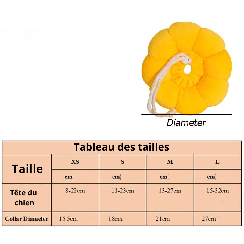 https://cdn.shopify.com/s/files/1/0763/9767/4819/files/Collerette_pour_chien_jaune.png?v=1695914217