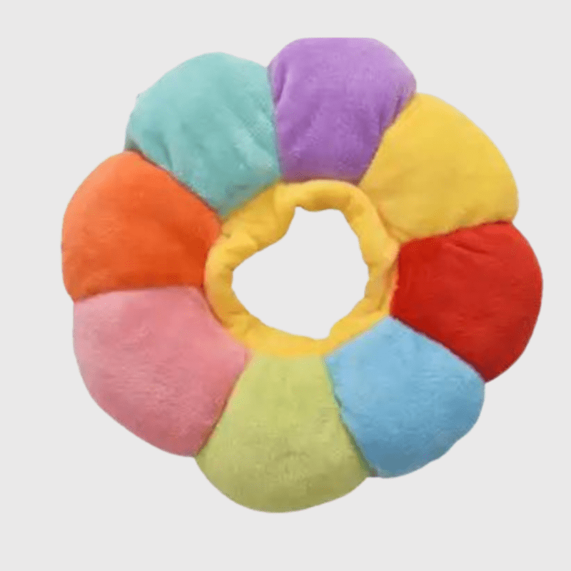 https://cdn.shopify.com/s/files/1/0763/9767/4819/files/Collerette_pour_chien_multicolore_caniche.png?v=1749048928