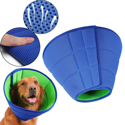 Collerette souple chien
