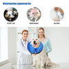 Collerette chien gonflable