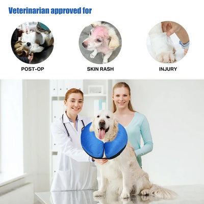 Collerette chien gonflable