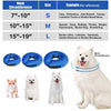 Collerette chien gonflable