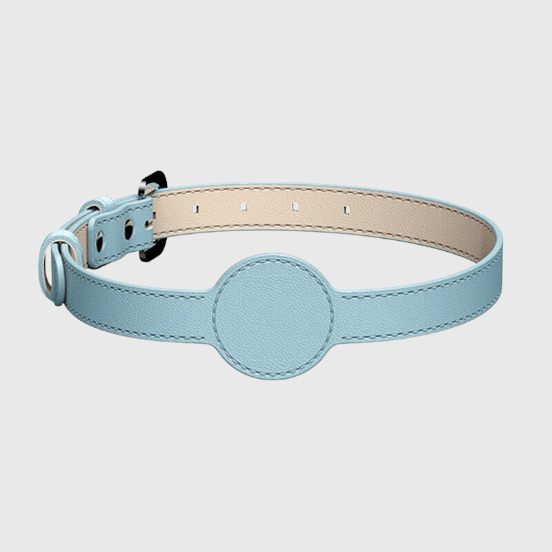 https://cdn.shopify.com/s/files/1/0763/9767/4819/files/Collier_AirTag_pour_chien_bleu.png?v=1745313332