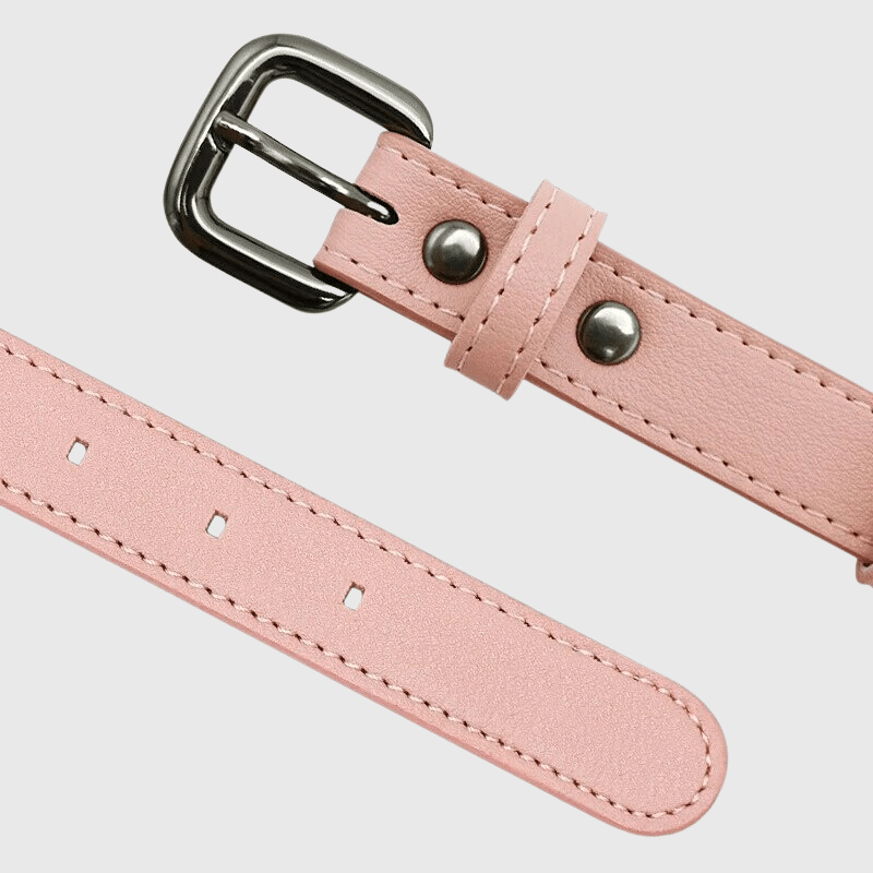https://cdn.shopify.com/s/files/1/0763/9767/4819/files/Collier_AirTag_pour_chien_fermeture.png?v=1745313332