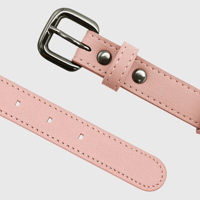 https://cdn.shopify.com/s/files/1/0763/9767/4819/files/Collier_AirTag_pour_chien_fermeture.png?v=1745313332