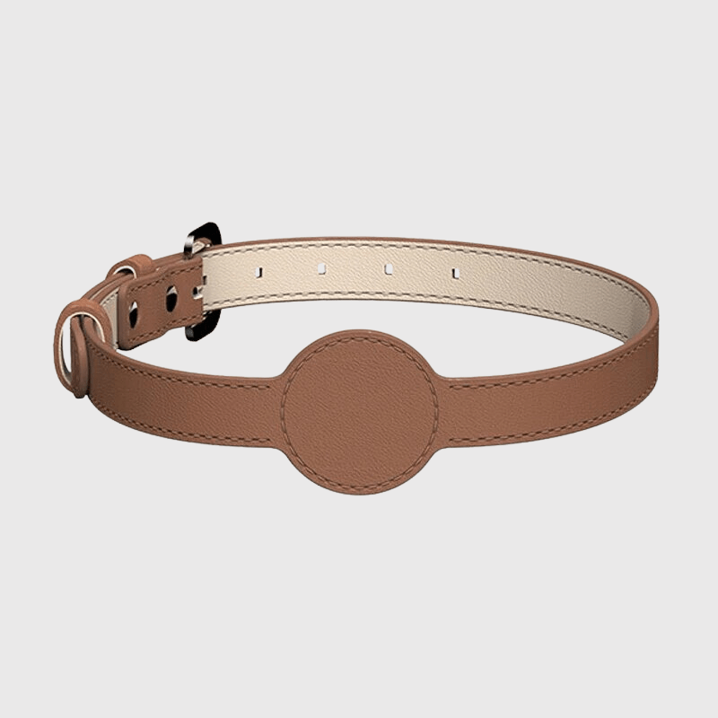 https://cdn.shopify.com/s/files/1/0763/9767/4819/files/Collier_AirTag_pour_chien_marron.png?v=1745313332
