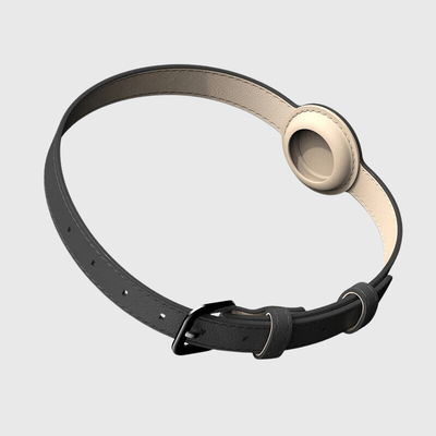 https://cdn.shopify.com/s/files/1/0763/9767/4819/files/Collier_AirTag_pour_chien_noir.png?v=1745313332