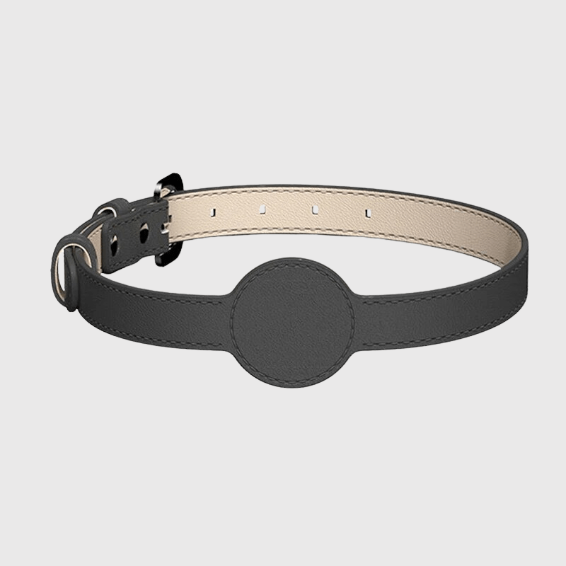 https://cdn.shopify.com/s/files/1/0763/9767/4819/files/Collier_AirTag_pour_chien_noir_pale.png?v=1745313332