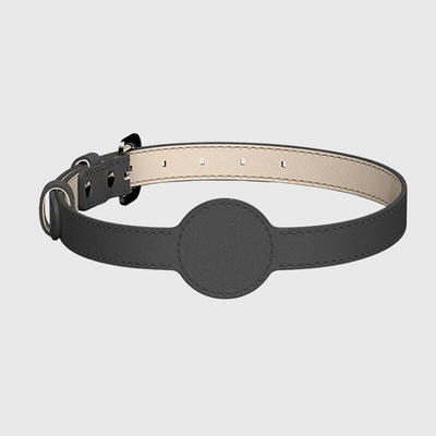 https://cdn.shopify.com/s/files/1/0763/9767/4819/files/Collier_AirTag_pour_chien_noir_pale.png?v=1745313332