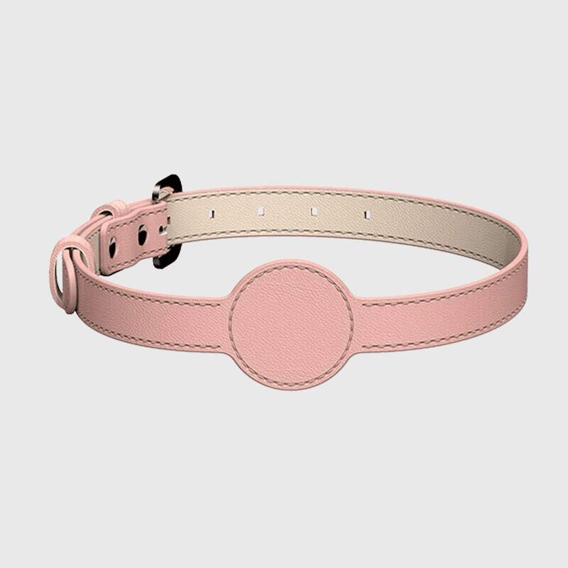 https://cdn.shopify.com/s/files/1/0763/9767/4819/files/Collier_AirTag_pour_chien_rose.png?v=1745313332